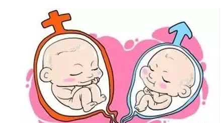 女同伴侣借卵代怀